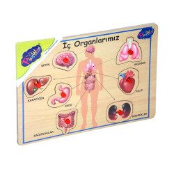 Ahşap Tutmalı Organlar - 1