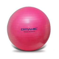 DYNAMIC GYMBALL - 20cm - 2