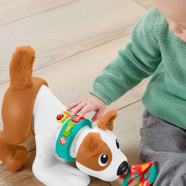 Fisher-Price Emeklemeyi ve Saymayı Öğreten Köpekçi - 6