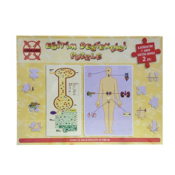 İç Salgı Bezleri Ve Emilim 140 126 Puzzle - 2